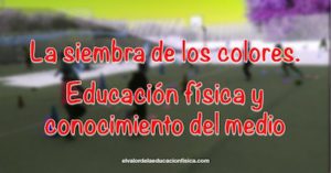 organos-de-los-sentidos-y-educacion-fisica