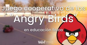 Juego de cooperación para trabajar lanzamientos y golpeos en educación física "angry Birds"
