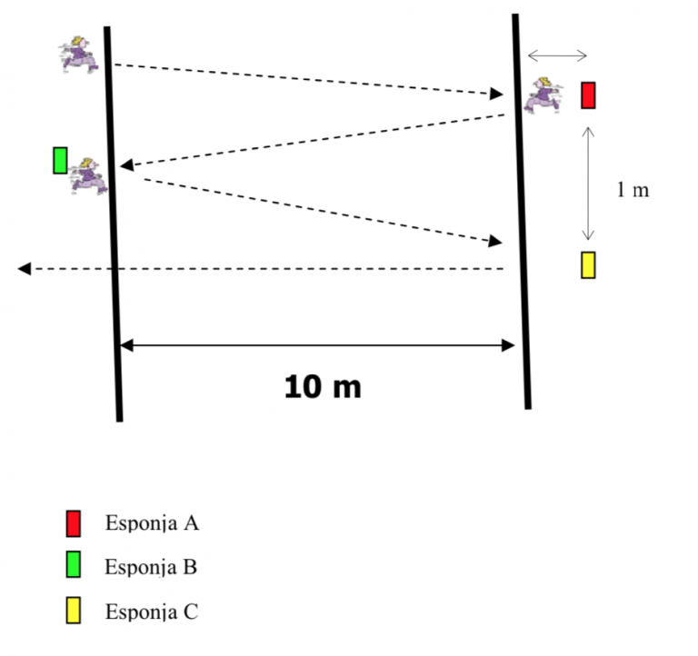 Ejercicios de velocidad en educación física